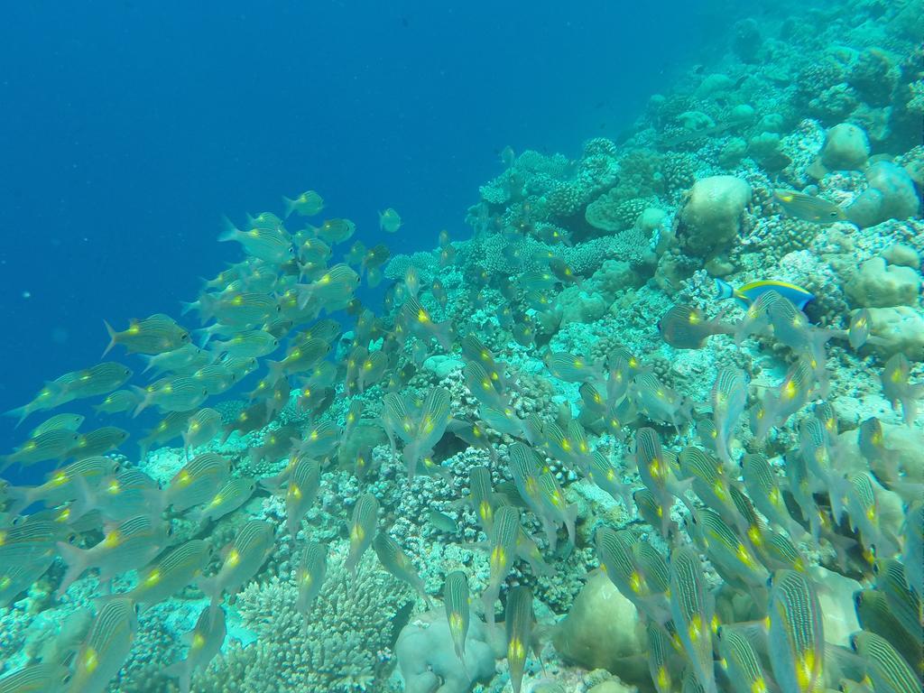 Ras Beach Inn Rasdhoo エクステリア 写真