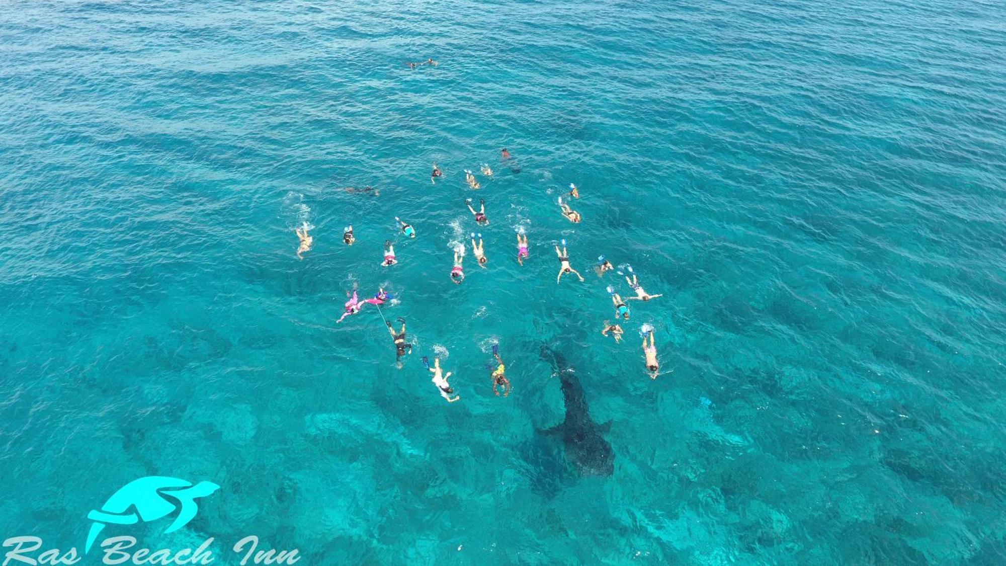 Ras Beach Inn Rasdhoo エクステリア 写真