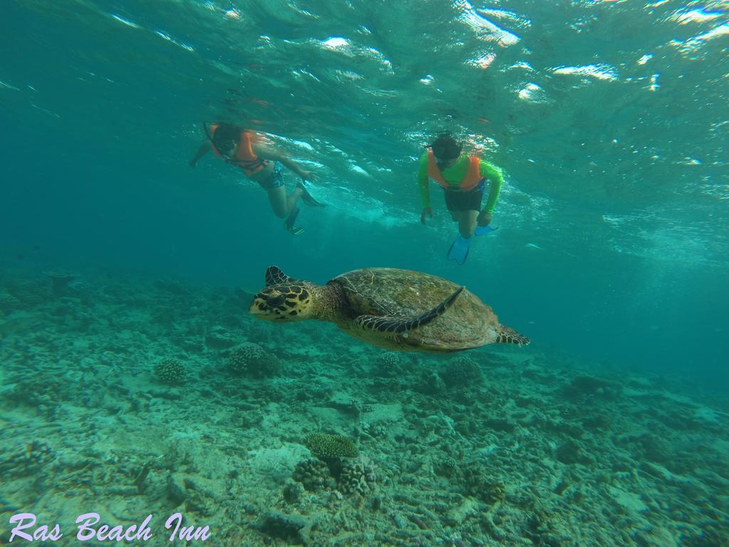 Ras Beach Inn Rasdhoo エクステリア 写真