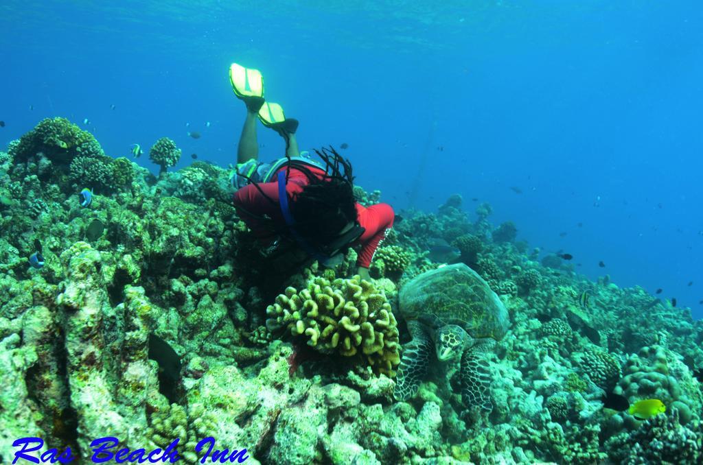Ras Beach Inn Rasdhoo エクステリア 写真