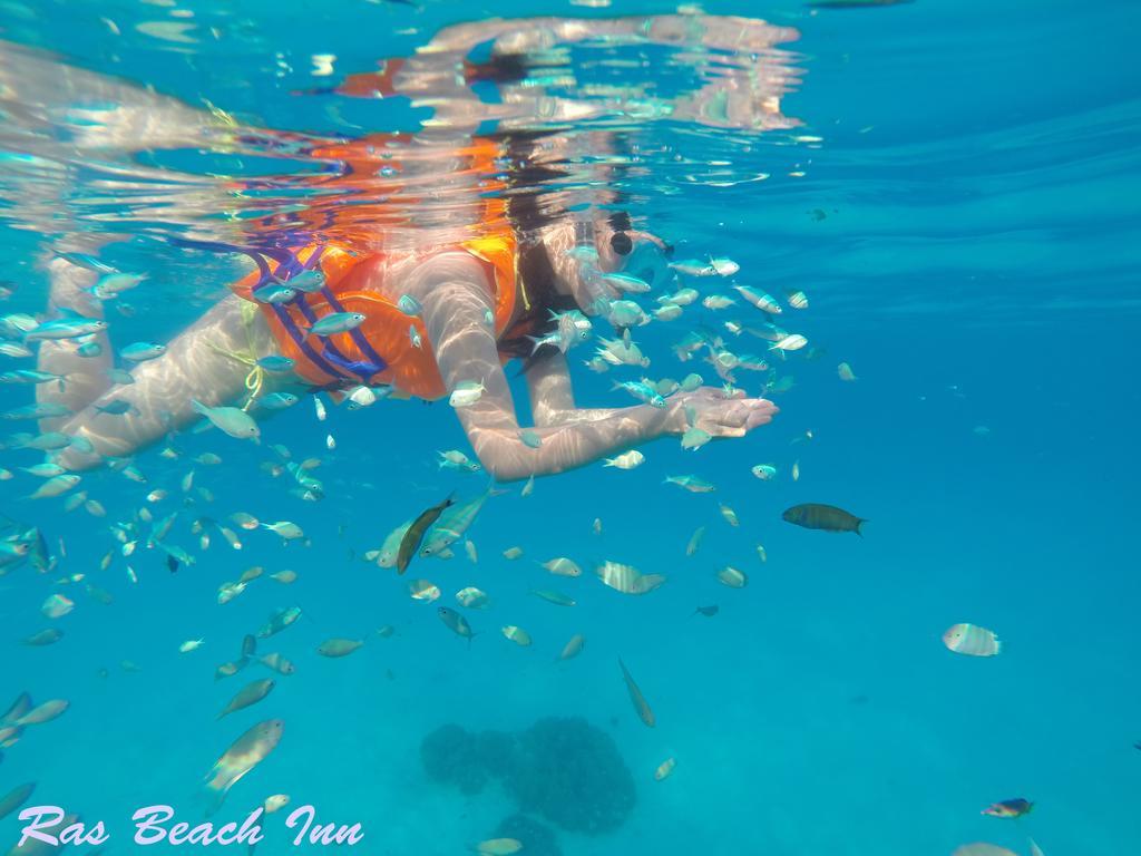 Ras Beach Inn Rasdhoo エクステリア 写真
