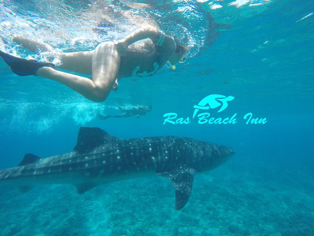 Ras Beach Inn Rasdhoo エクステリア 写真